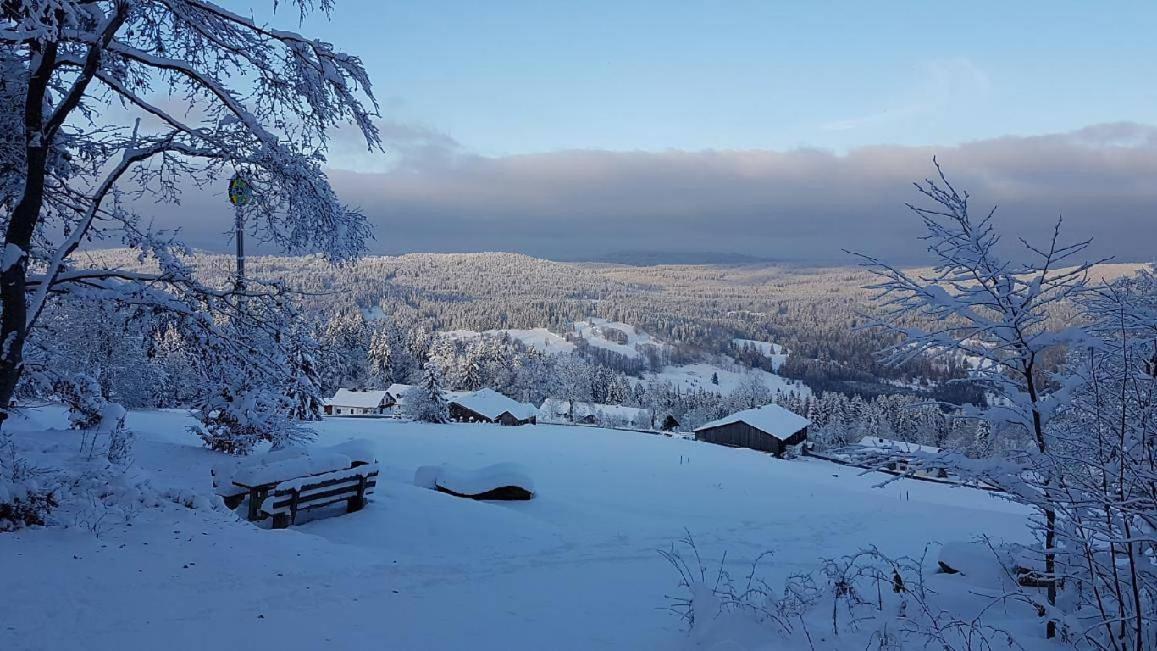 Winterwohnung Almberg Mitterfirmiansreut Exterior foto